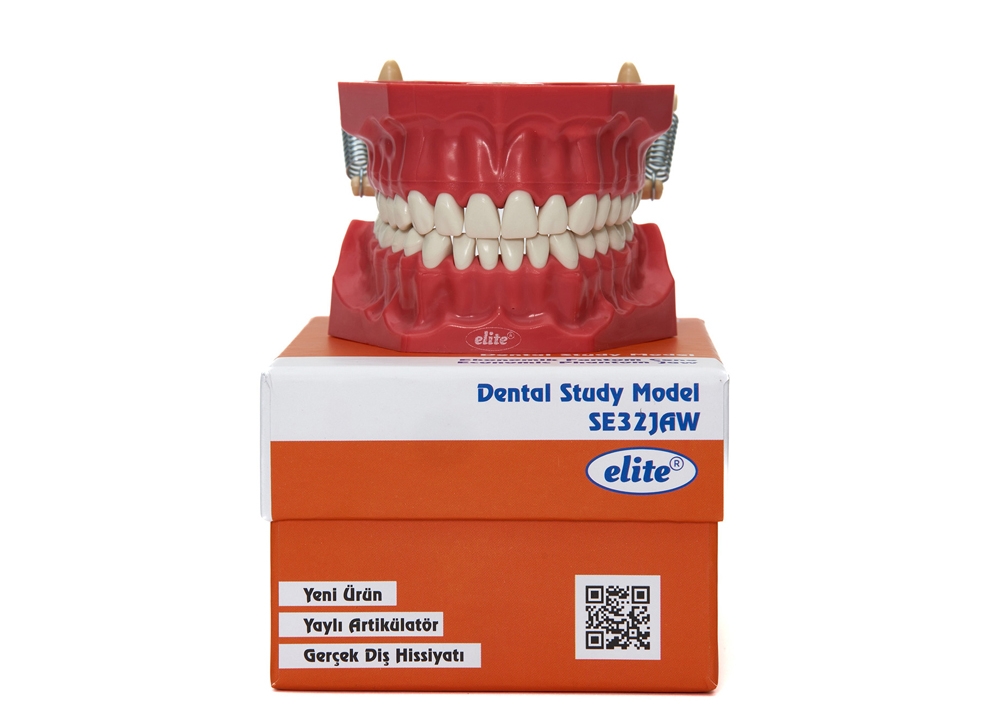 Ekonomik fantom çənə